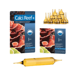 Confezione Calci Reef