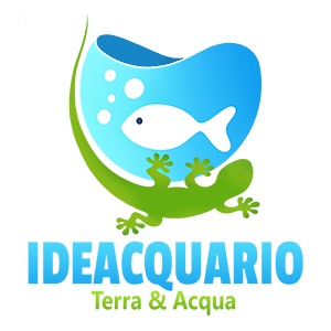 Ideacquario | Negozio acquari online vendita prodotti e accessori per acquariologia